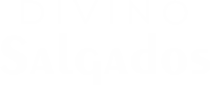 divino logo